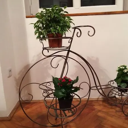 شقة Quiet At Synagogue *