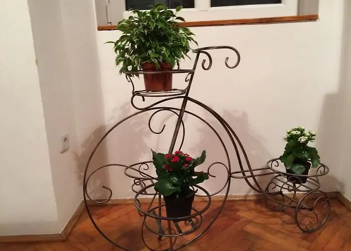 Apartament Quiet At Synagogue *